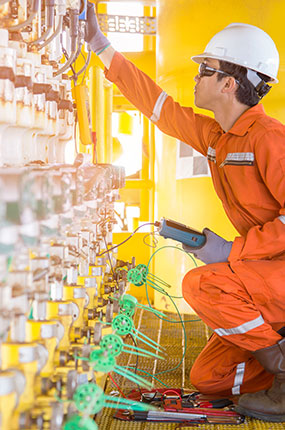 Sentry Environmental Protection